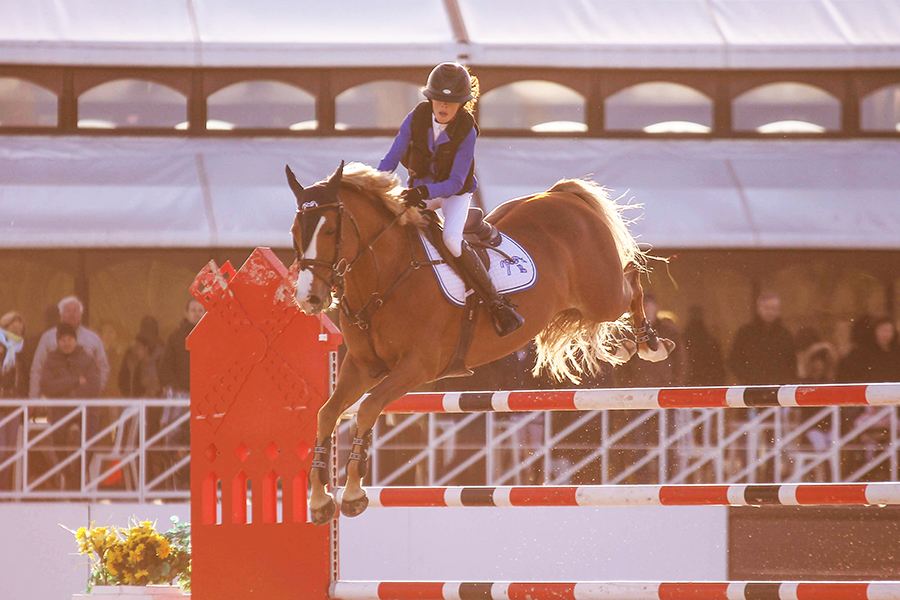 Lola et Valiant vont courir le grand prix Excellence cette année!