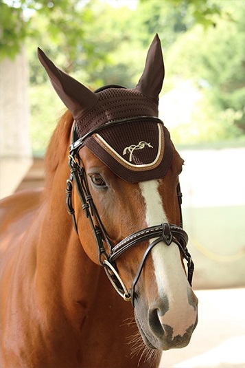 Bonnet point sellier