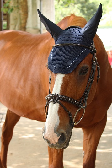 Bonnet strass