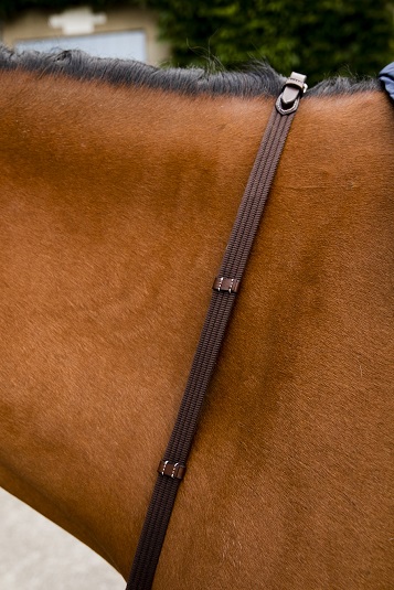 rênes sangle luxe