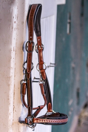 leather halter