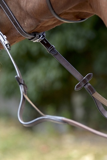 Elastic reins