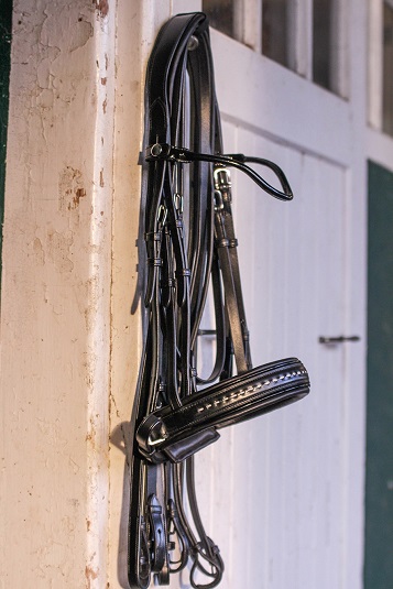 Point sellier bridle