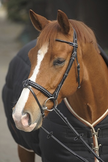 point sellier bridle